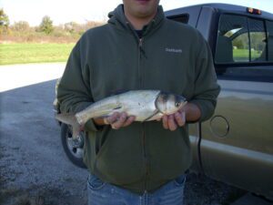 silver carp Rathbun
